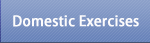 Domestic Exercises