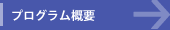 プログラム概要