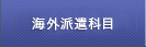 海外派遣科目