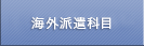 海外派遣科目