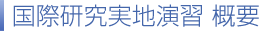 国際研究実地演習 概要