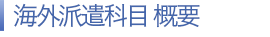 海外派遣科目 概要